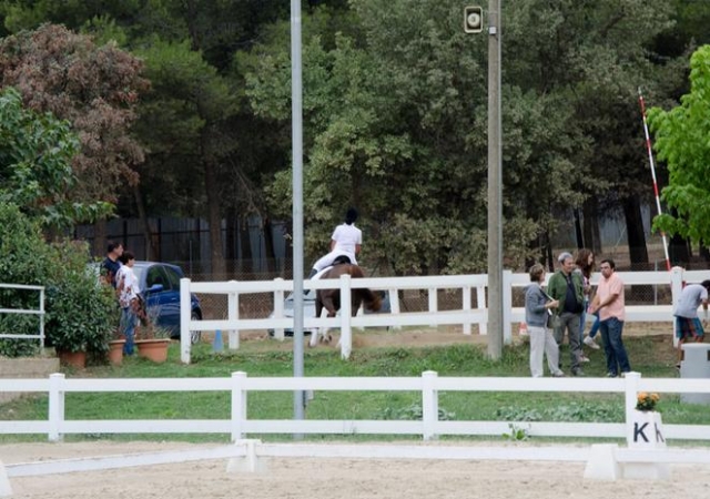  birthday celebrations 